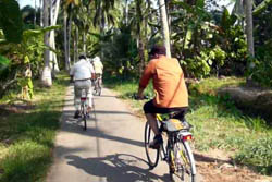 Fahrrad-Expeditionen, Vietnam - Mit dem Fahrrad durch den Dschungel Vietnams